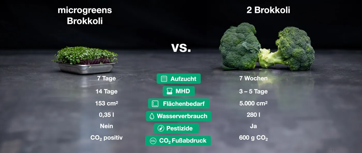 Vergleich: microgreens Brokkoli gegen 2 Brokkoli — Aufzucht 7 Tage vs. 7 Wochen, MHD 14 Tage vs. 3–5 Tage, Flächenbedarf 153 cm² vs. 5.000 cm², Wasserverbrauch 0,35 l vs. 280 l, keine Pestizide, CO2 positiv vs. 600 g CO2